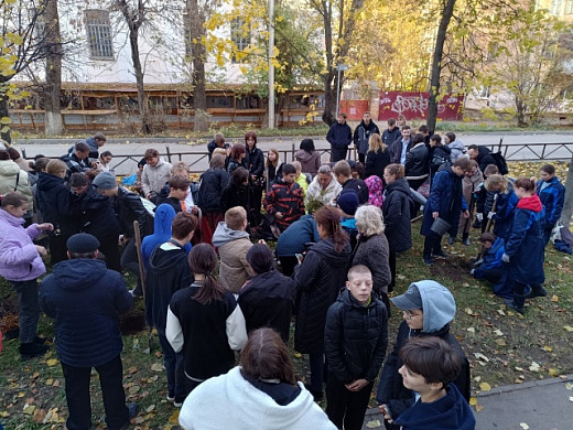 В Иванове появилась аллея агроклассников